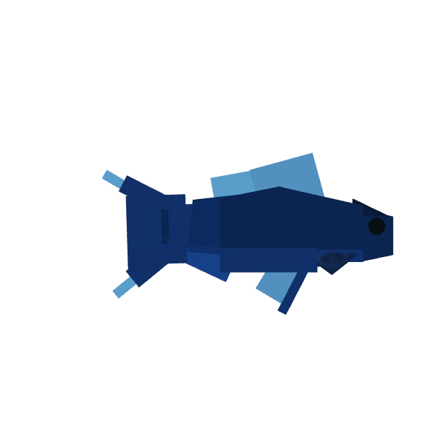 Bluefish