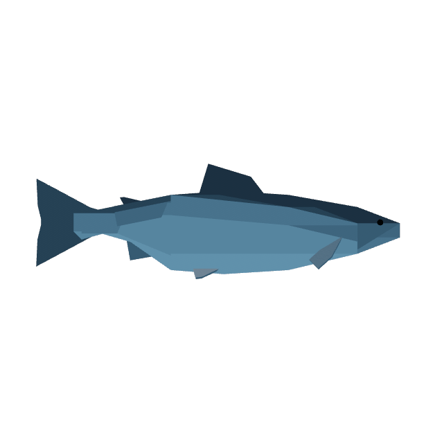 Chinook Salmon