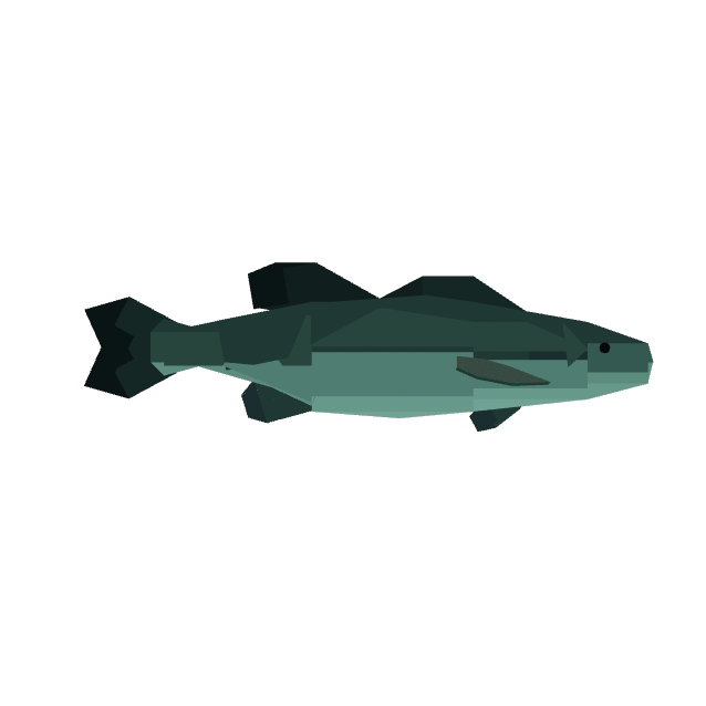 Largemouth Bass