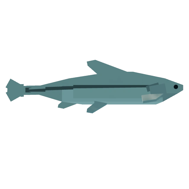 Minnow