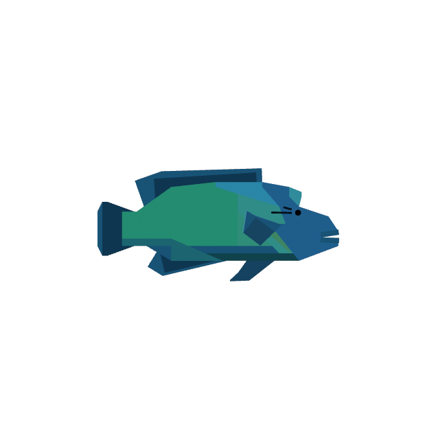 Napoleonfish