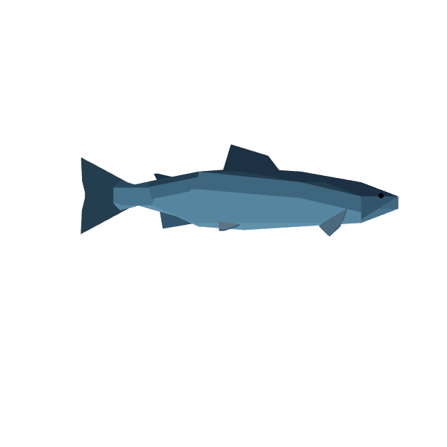 Salmon