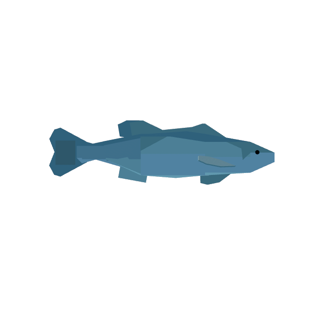 Sea Bass