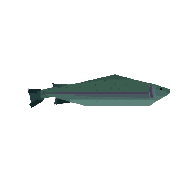 Trout